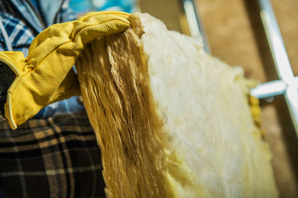 Best Insulation Removal  in Shadybrook, TX