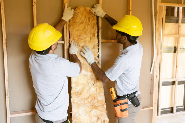 Best Fiberglass Insulation  in Shadybrook, TX