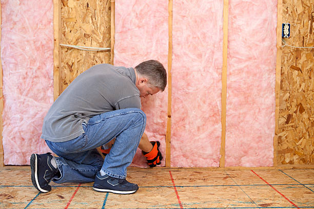 Best Local Insulation Services  in Shadybrook, TX